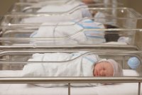 Newborn babies sleep in their cradles in a hospital nursery.