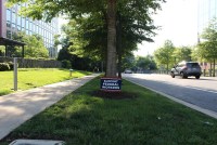 A lawn sign near a sidewalk reads, "support federal workers."